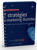 ebook webmarketing