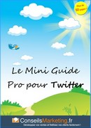 www.comment-gagner-sur-internet.com/images/ebook-gratuit-twitter.jpg
