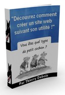 utilit� site web